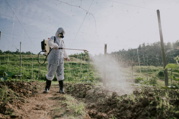 Best Affordable Pest Control Services  in Sherrill, NY