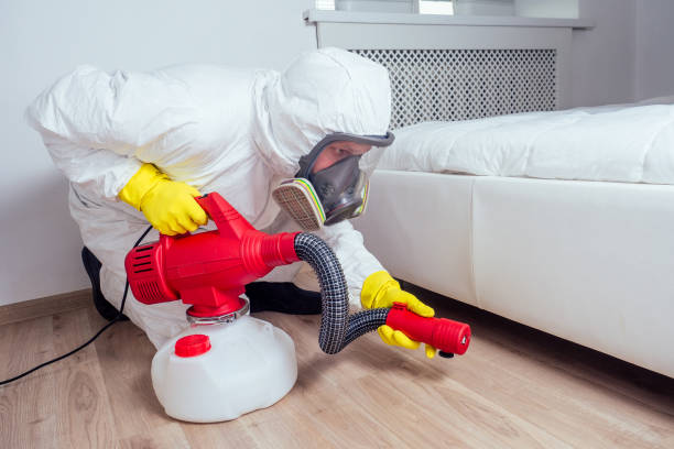 Best Bed Bug Extermination  in Sherrill, NY