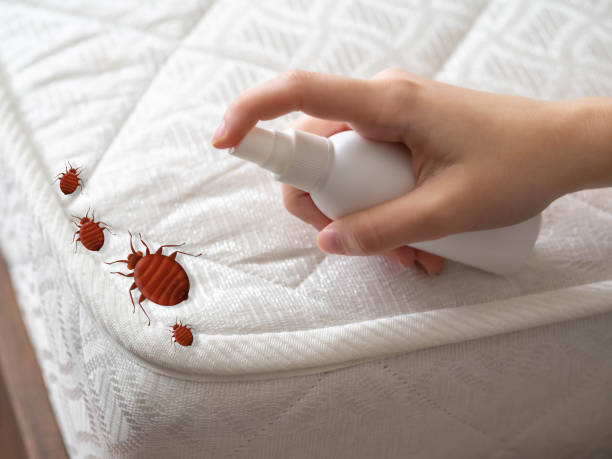 Best Pest Prevention Services  in Sherrill, NY