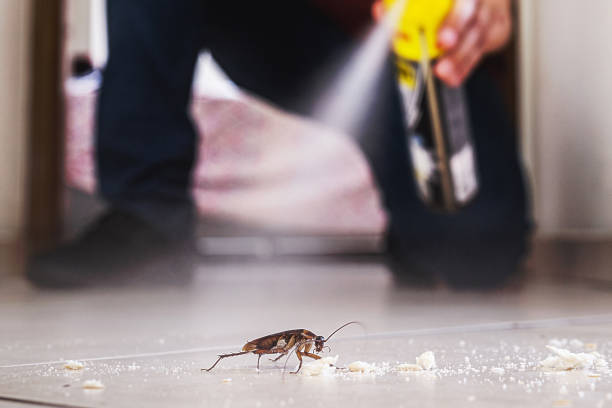Best Pest Control for Homes  in Sherrill, NY
