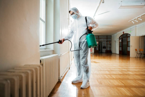 Best Termite Control Services  in Sherrill, NY
