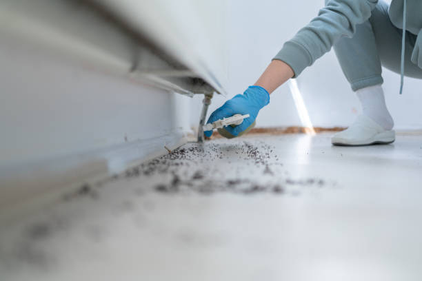 Best Commercial Pest Control Services  in Sherrill, NY