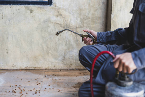 Best Affordable Pest Control Services  in Sherrill, NY